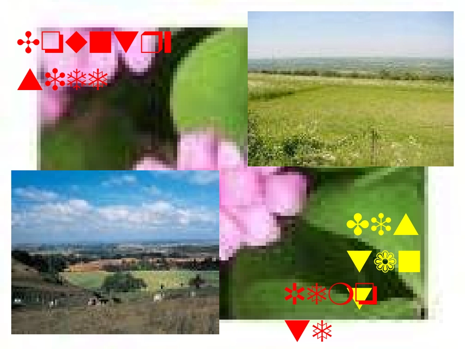 高中英语 Unit 1 Lesson4 City And Country课件 北师大版必修1 课件_第3页