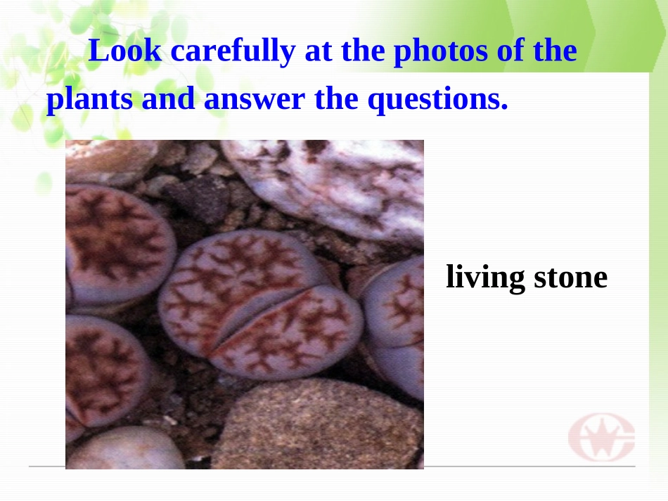 高中英语 Exploring plants-Listening课件 新人教版选修9 课件_第3页