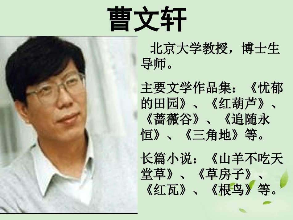 高中语文 321(前方)3暑期备课课件 苏教版必修1 课件_第3页