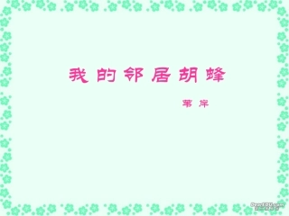 高一语文我的邻居胡蜂课件 苏教版 课件