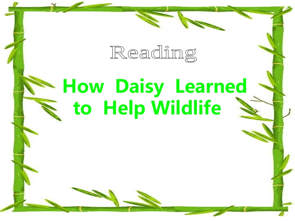 高中英语 until4wildlife protection reading课件人教版必修2 课件_第3页