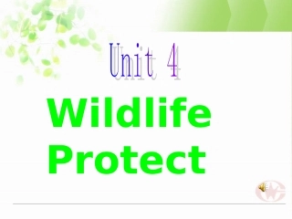 高中英语 until4wildlife protection reading课件人教版必修2 课件