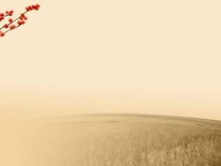 高中英语 Unit1 Getting along with others 英语学习辅导报第三期习题讲评精品课件 牛津译林版必修5 课件