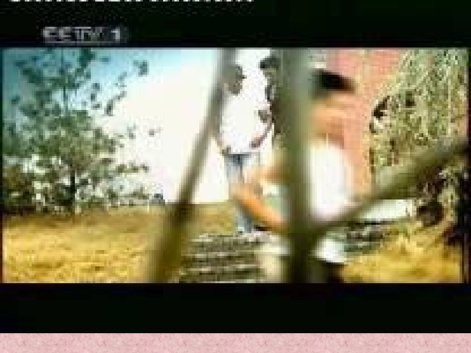 综合性学习：让世界充满爱3 八年级语文上册第二单元(综合性学习让世界充满爱)课件4套人教版 八年级语文上册第二单元(综合性学习让世界充满爱)课件4套人教版_第2页