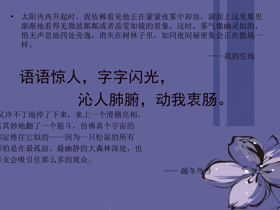 高中语文 瓦尔登湖3课件 新人教版必修1 课件_第2页