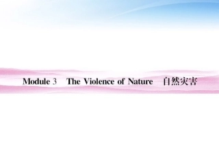 高考英语 Module3 The Violence of Nature单元总复习8 课件