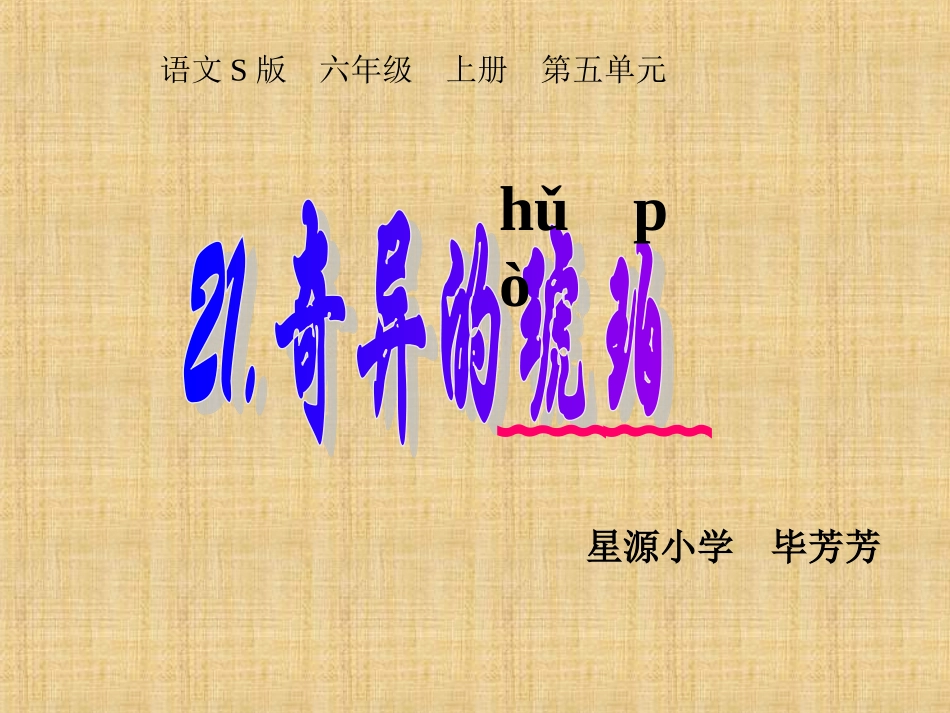 奇异的琥珀课件_第1页