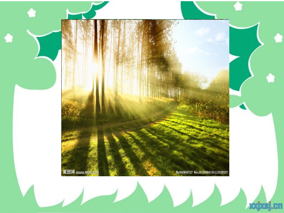 树，人类的好朋友_第3页