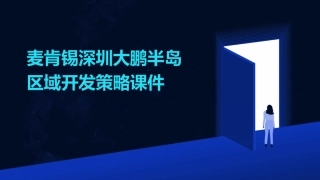 麦肯锡深圳大鹏半岛区域开发策略课件