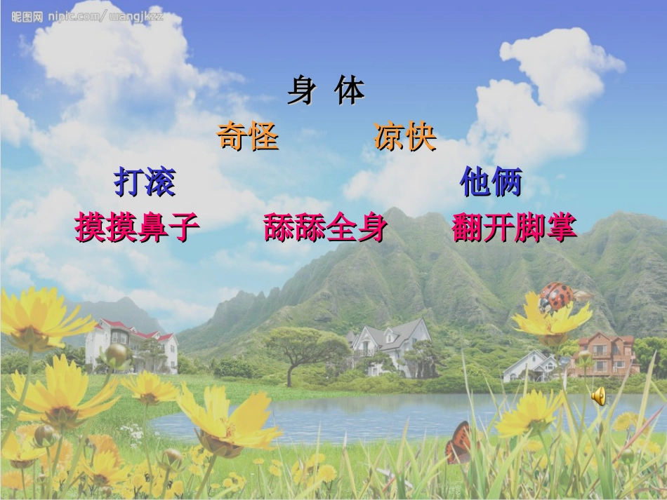 小花猫找汗第二课时_第2页