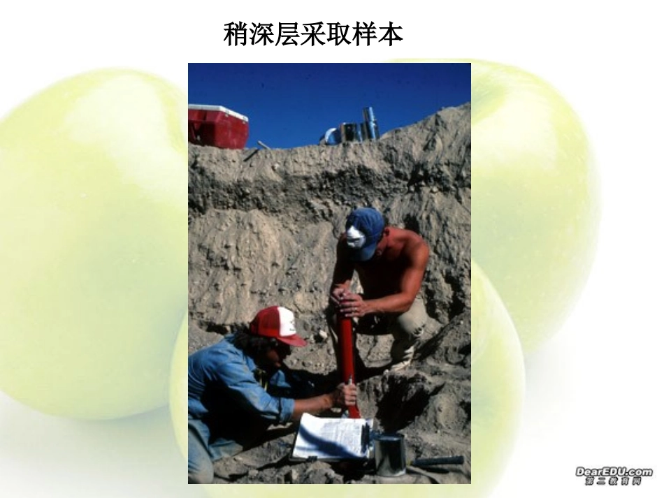 统计抽样方法 高三数学概率与统计课件集锦[整理八套]新课标 人教版 flash 高三数学概率与统计课件集锦[整理八套]新课标 人教版 flash_第2页