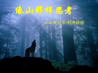 像山那样思考课件