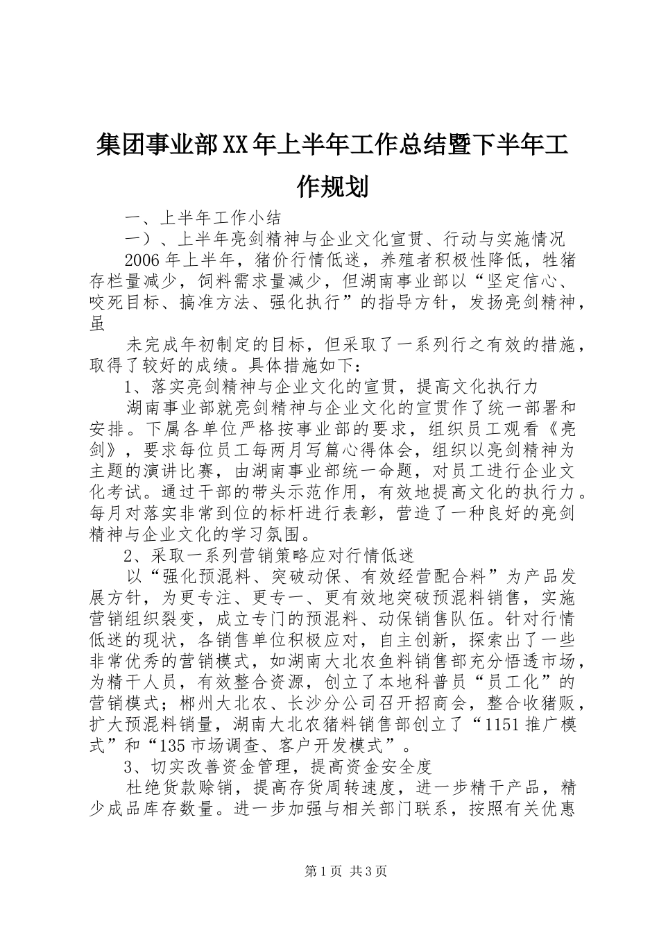 集团事业部XX年上半年工作总结暨下半年工作规划 _第1页