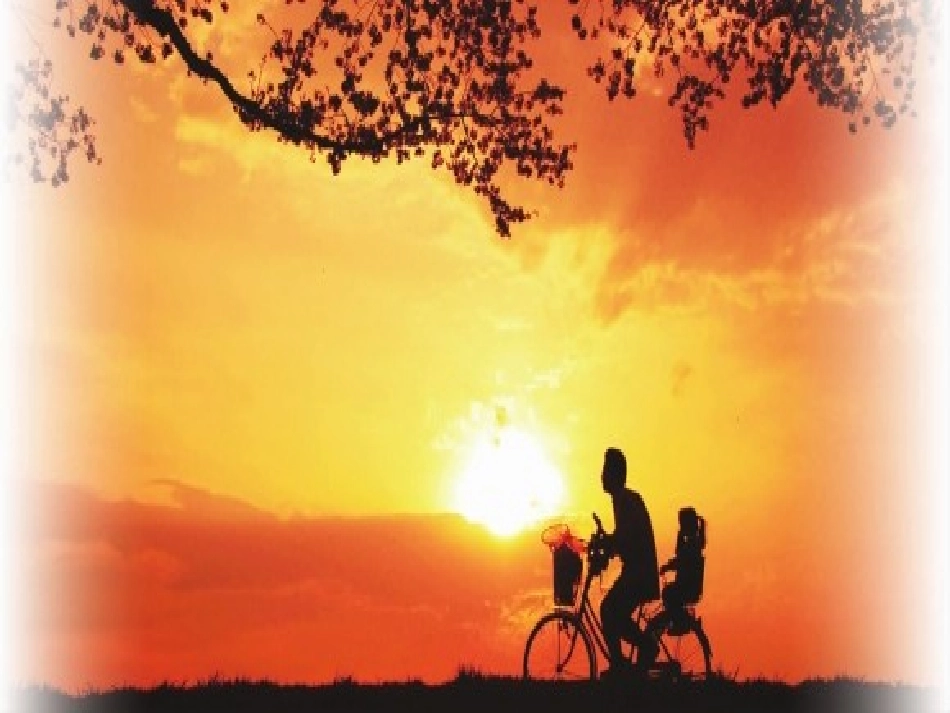 陕西省西安市回民中学七年级语文上册 1 散步课件 (新版)新人教版_第2页