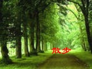 陕西省西安市回民中学七年级语文上册 1 散步课件 (新版)新人教版