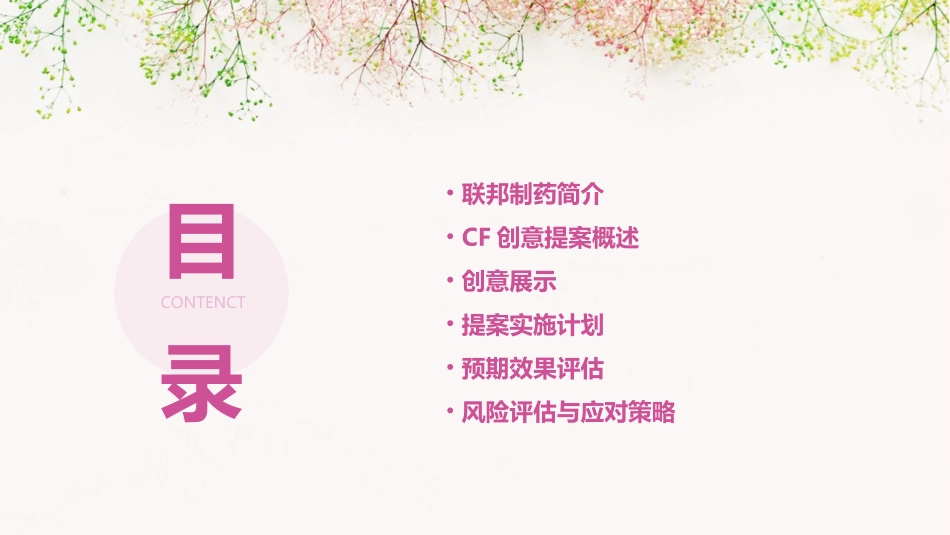 联邦制药CF创意提案课件_第2页