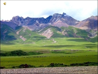 高中语文(回忆鲁迅先生)课件沪教版第二册 课件