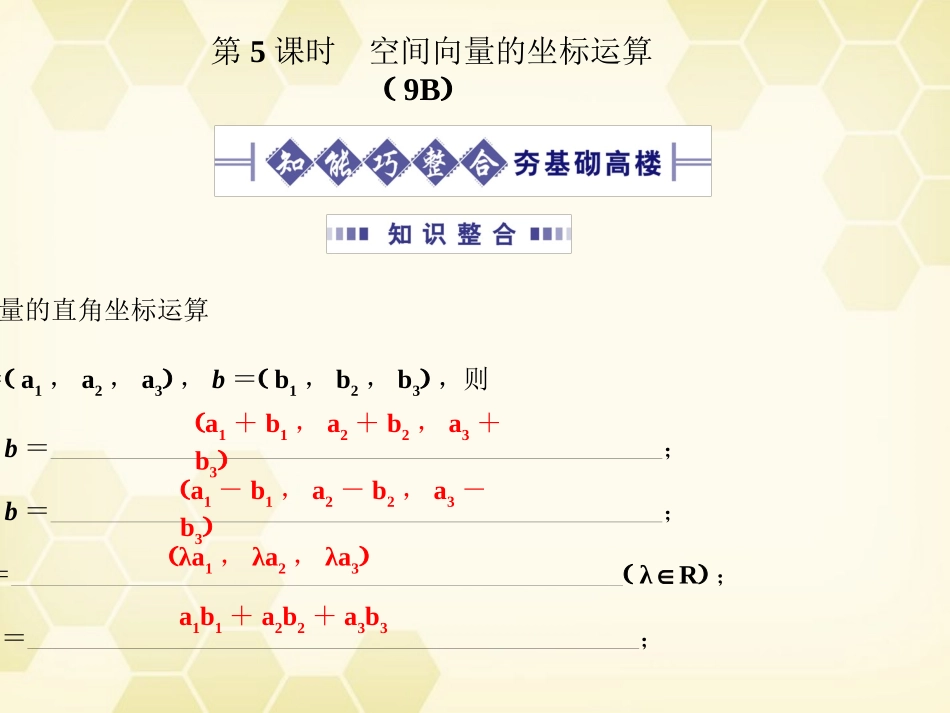 高考数学总复习 9.5空间向量的坐标运算课件 文 大纲人教版 课件_第1页