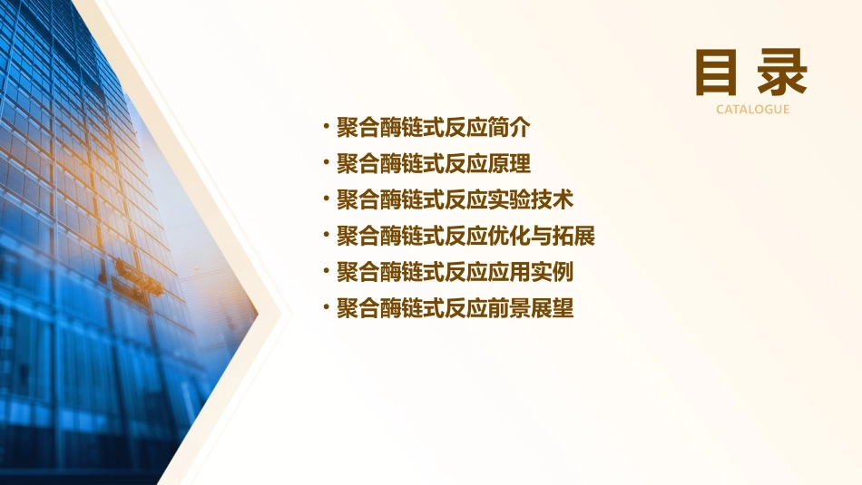 聚合酶链式反应课件_第2页