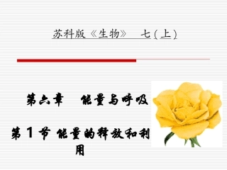 能量的释放和利用