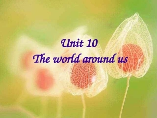 高中英语第一册Unit10 The world around usppt 课件