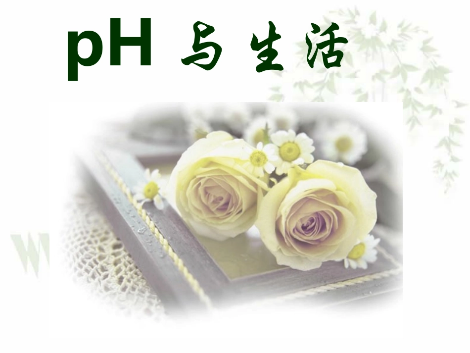 江西省九江地区初三化学pH与生活 新课标 课件_第1页