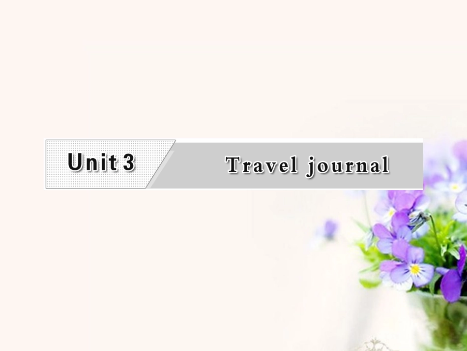 高考英语复习 Unit3 Travel journal专题课件 新人教版必修1 课件_第1页