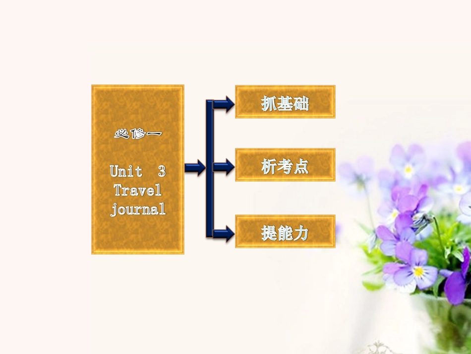 高考英语复习 Unit3 Travel journal专题课件 新人教版必修1 课件_第2页