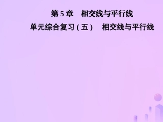 秋七年级数学上册 第5章(相交线与平行线)单元综合复习(五)相交线与平行线课件 (新版)华东师大版 课件