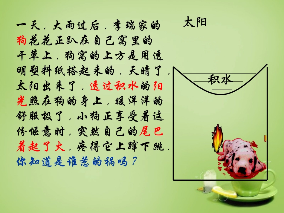 秋八年级物理上册 4.1 透镜课件 鲁教版 课件_第1页