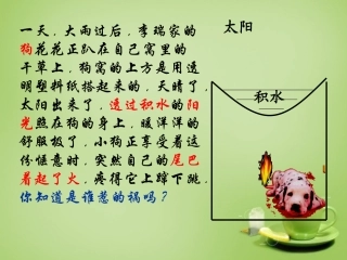 秋八年级物理上册 4.1 透镜课件 鲁教版 课件