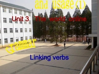 高中英语模块7第三单元语法 LINKING VERBS课件选修7 课件