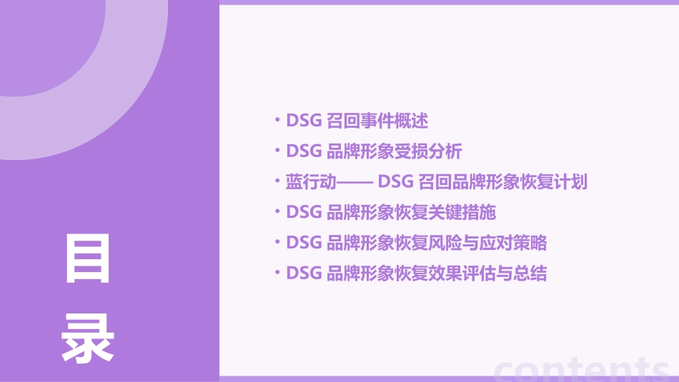 蓝行动——DSG召回品牌形象恢复应对课件_第2页