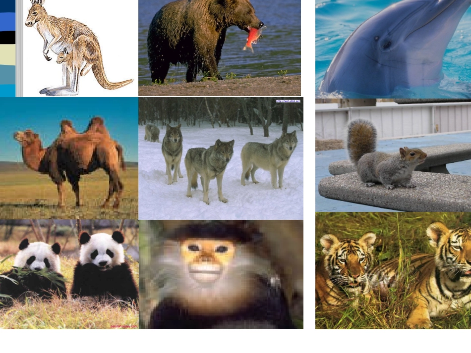 牛津版八年级英语上册8A Unit4-7(Integrated skills)课件_第2页