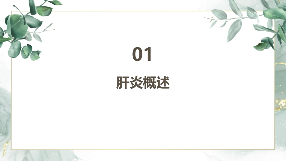 肝炎的诊断与治疗_第3页