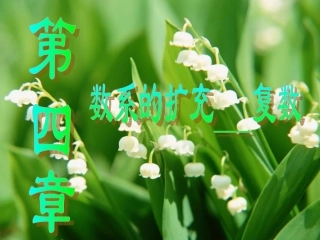 高三数学复数的运算 新课标 人教版 课件