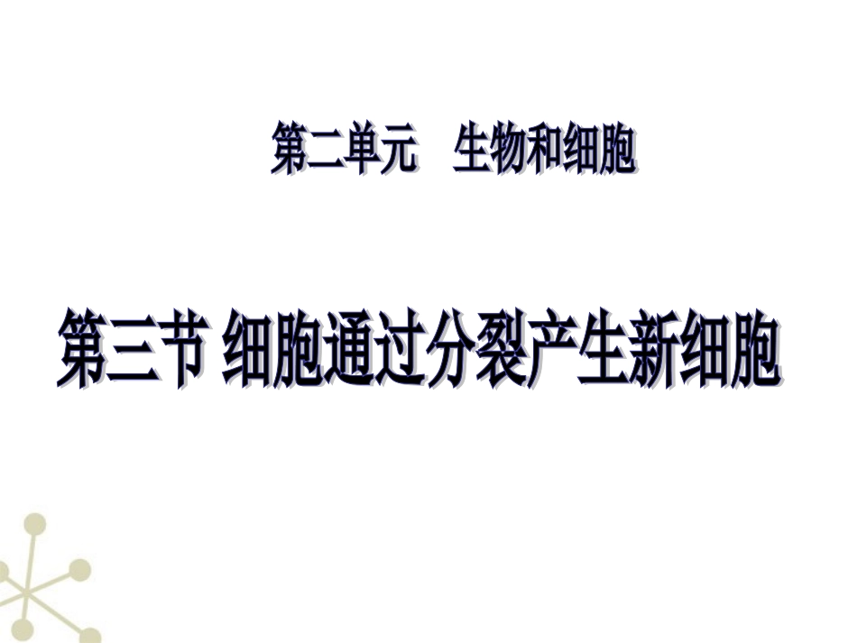 细胞分裂 课件_第3页