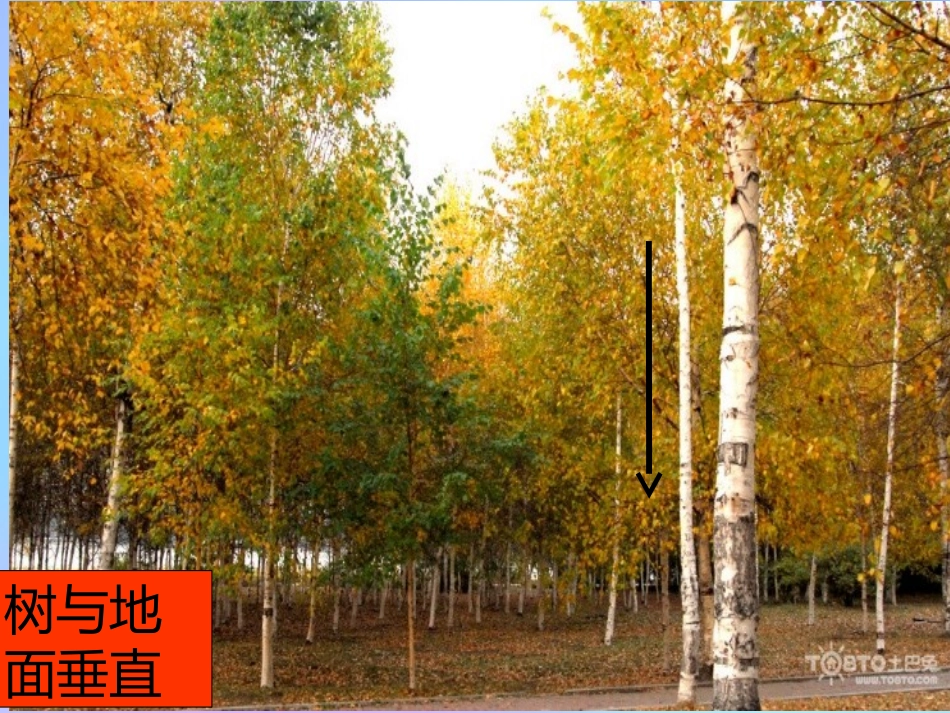 高中数学 第一章 立体几何初步 16 垂直关系的判定 直线与平面垂直的判定课件 北师大版必修2 课件_第3页