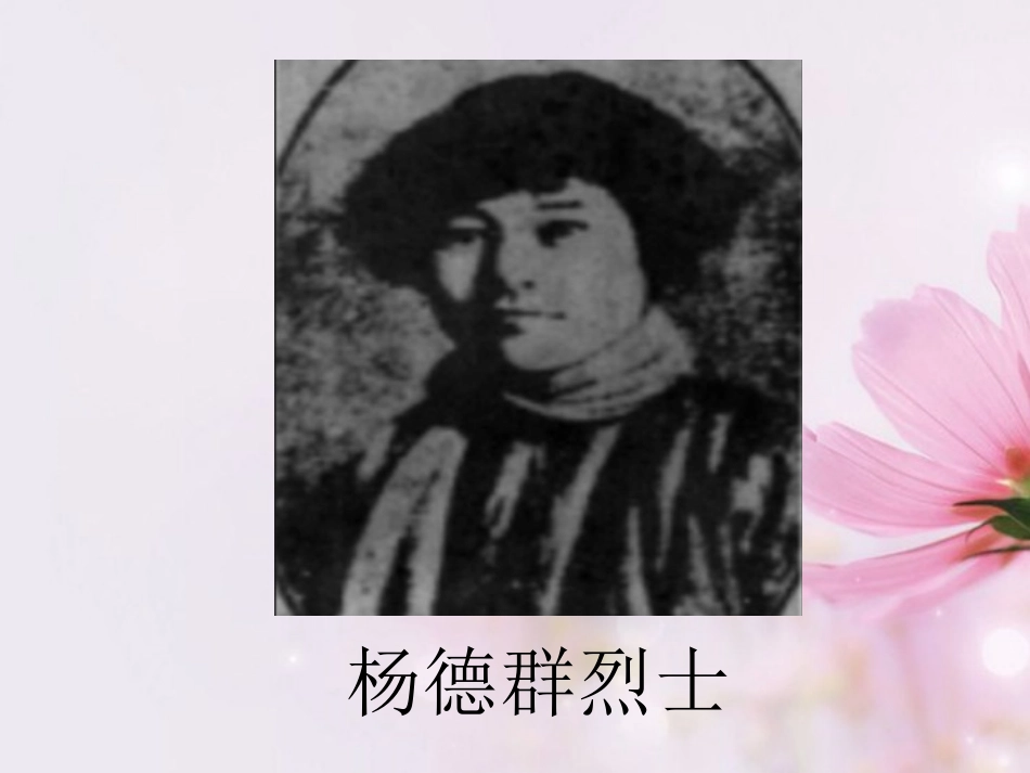 高中语文 纪念刘和珍君课件5课件 新人教版必修1 课件_第2页