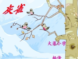 大渠小学杨倩《灰雀》