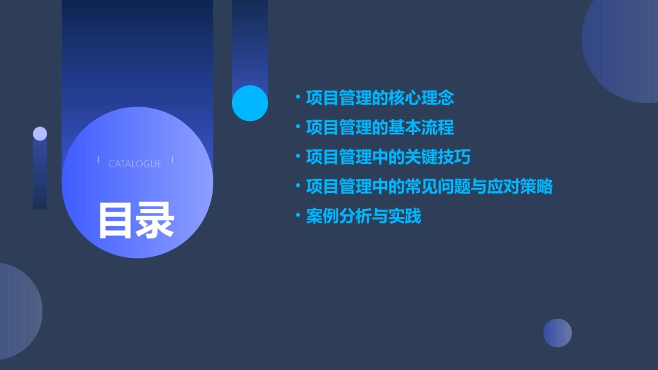 项目管理要点和技巧课件_第2页