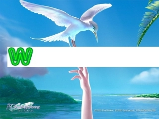 高中英语 模块六 U18 what is beauty课件 北师大版选修6 课件