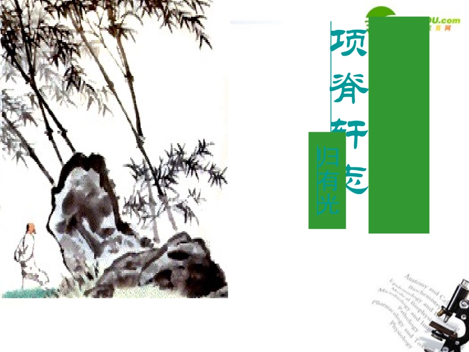 高中语文(项脊轩志)公开课课件 人教版第三册 课件_第1页