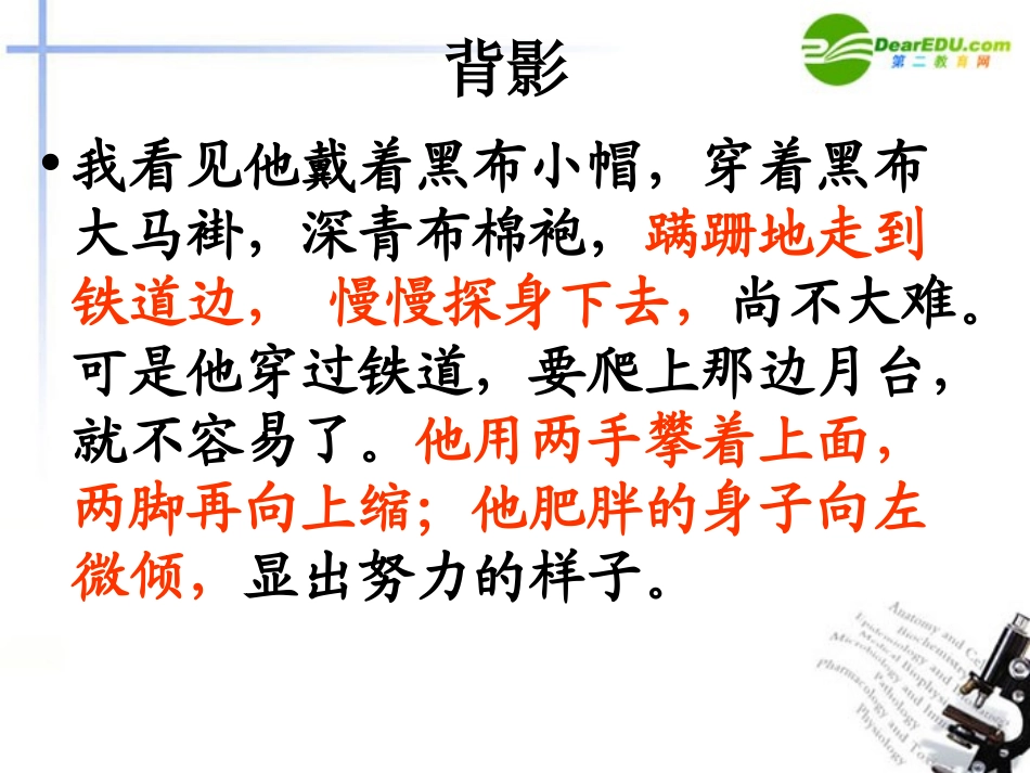 高中语文(项脊轩志)公开课课件 人教版第三册 课件_第3页