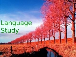 高三英语复习课件Unit2 Crossing LimitsLanguage Study新课标 人教版 课件