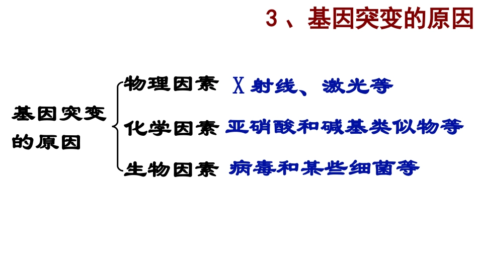 基因突变及其他变异_第3页