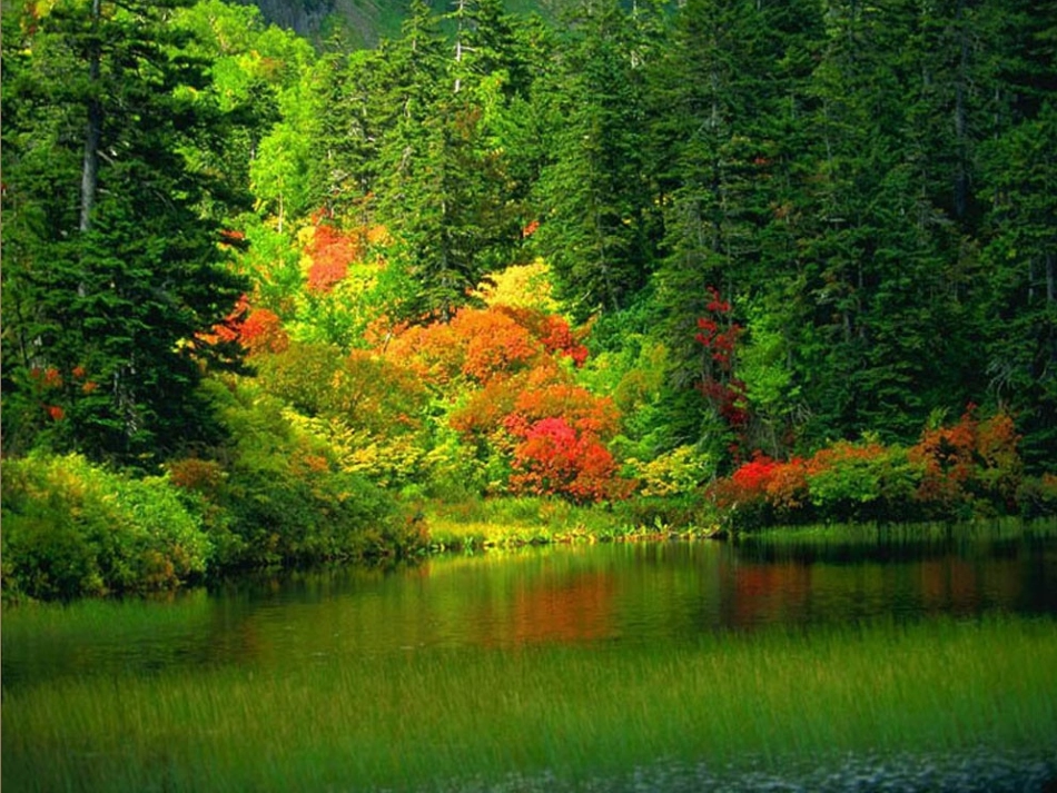 鹿和狼的故事刘琳琳_第3页