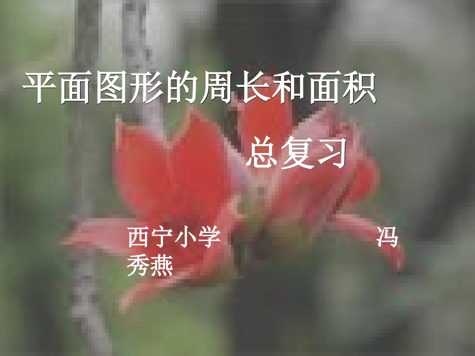 冯秀燕1平面图形的周长和面积_第1页