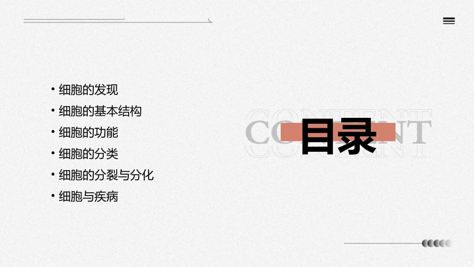 细胞的发现及结构课件_第2页