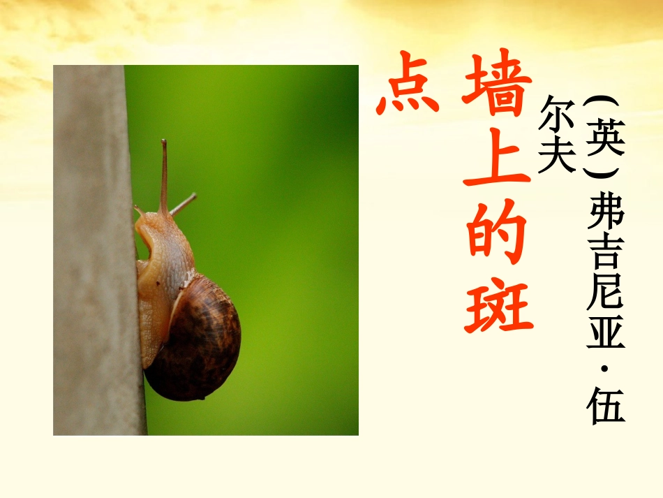 高二语文 第1单元(墙上的斑点) 新人教版选修(外国小说欣赏) 课件_第1页